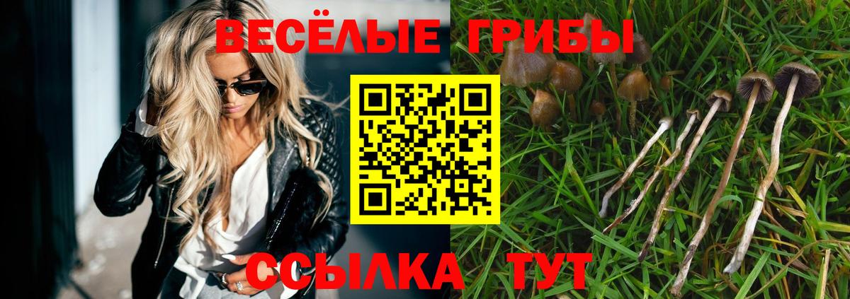 Псилоцибиновые грибы мухоморы Полысаево