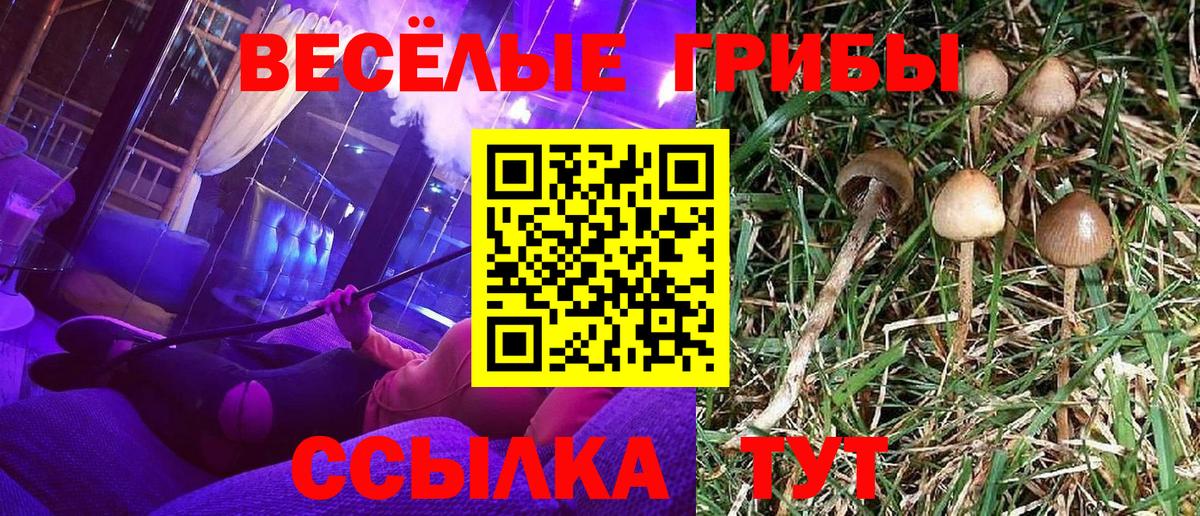 Полысаево  Галлюциногенные грибы GOLDEN TEACHER  Вход с VPN 